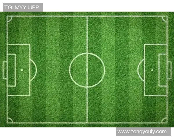 南京足球队的阵地战解析:战术布局与球员配合的深度剖析 南京足球队的阵地战解析:战术布局与球员配合的深度剖析