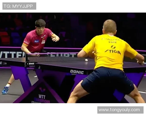 南京羽毛球队的控制策略与发展趋势深度分析与解读